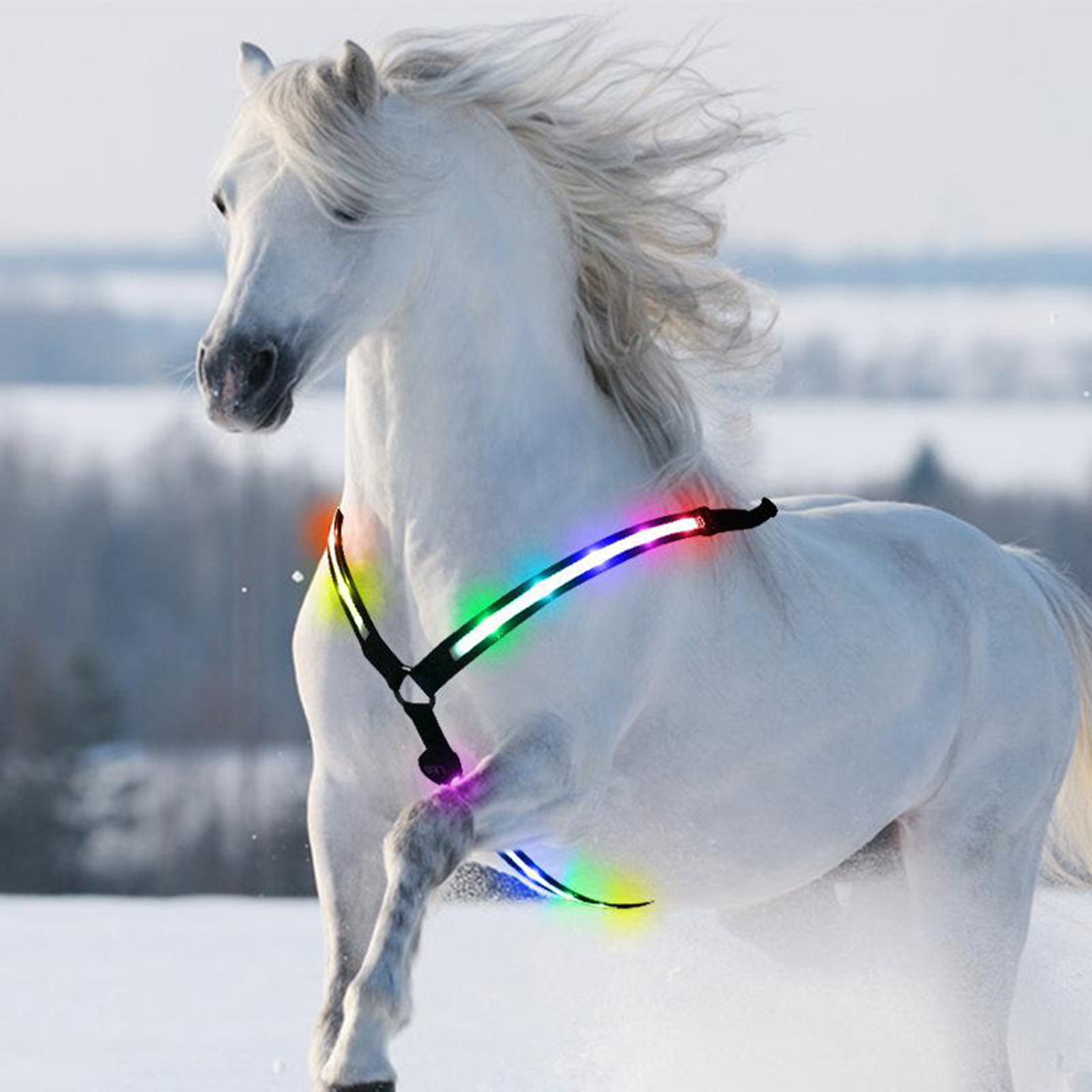 led breast collar