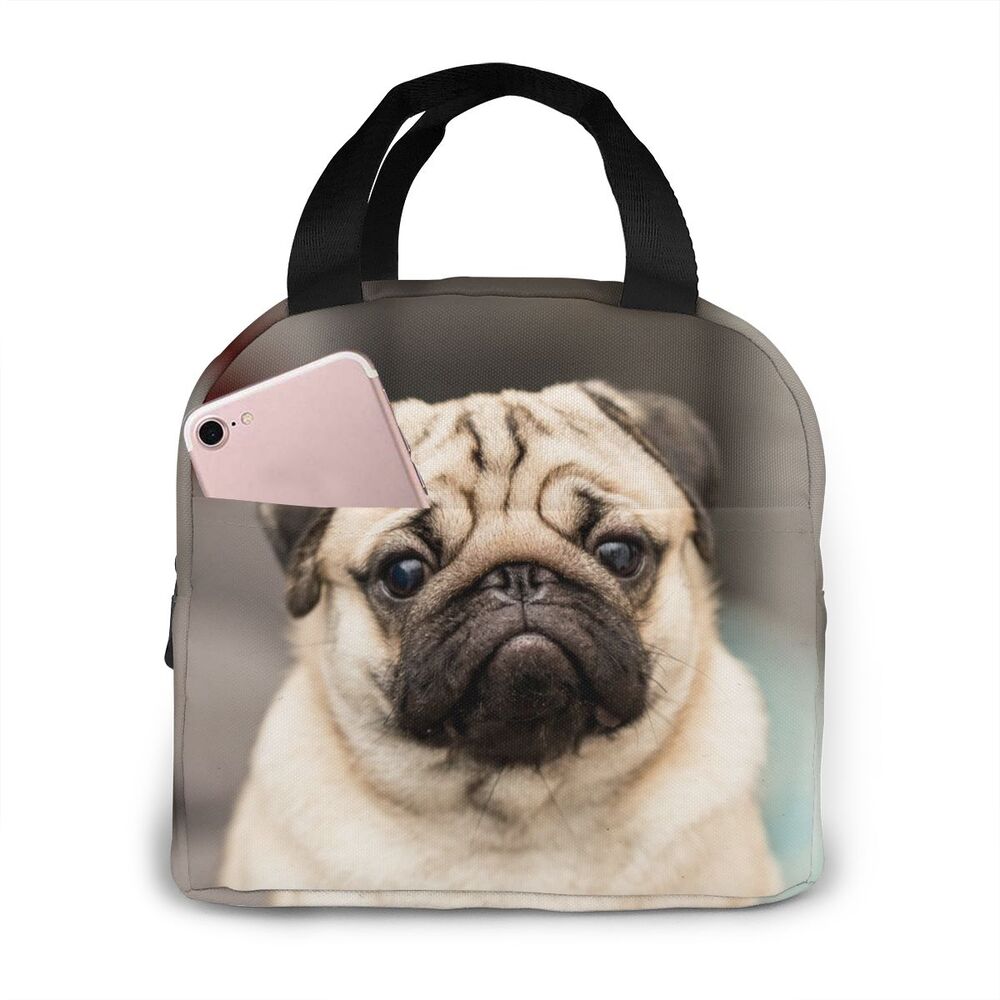 Cheap Bolsas p almoço