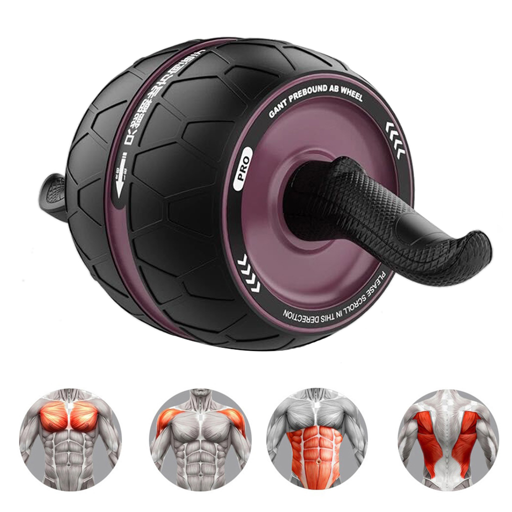 Ab Roller Wheel, Ab Roller Mute Core Training for Men Women Abdominal Exercise - Ab Workout - Home Workout Equipment