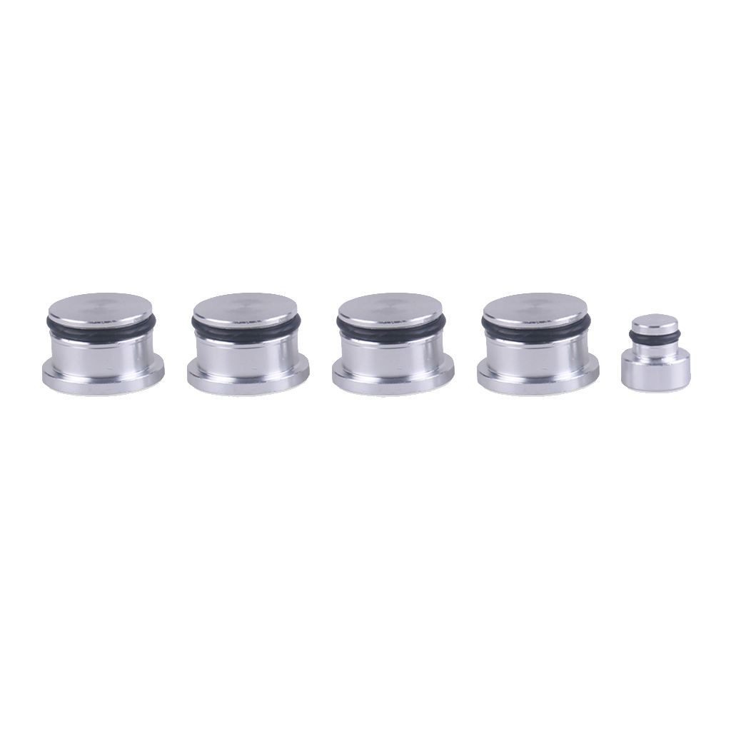 Inlet Manifold Swirl Flap Blanks for Vauxhall SAAB 1.9 Z19DTH, 5 pcs /set (Includes O ring)