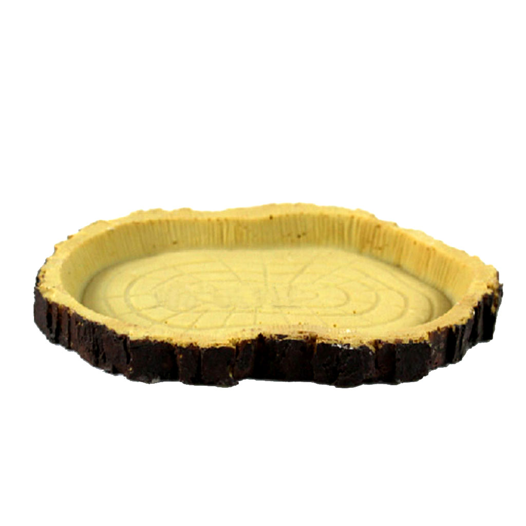 Reptile Food Bowl, Water Dish,Turtle Feeder, Feeding Dish, Food Container - Resin