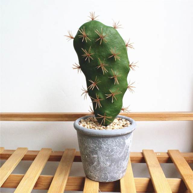 Buy Artificial Cactus Plant Online