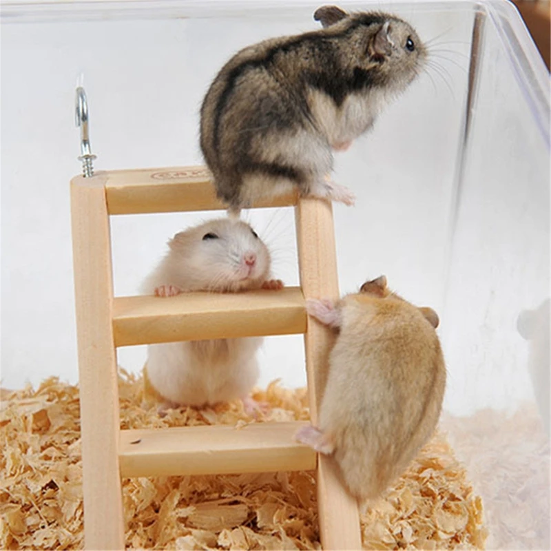 Natural Climbing Ladder Flexible & Bendable Small Animals Hideout Chew Toy for Dwarf Hamster Guinea Pig Gerbil Rat Chinchilla Ferret QIANWEI 2 Pack Hamster Wood Bridge 