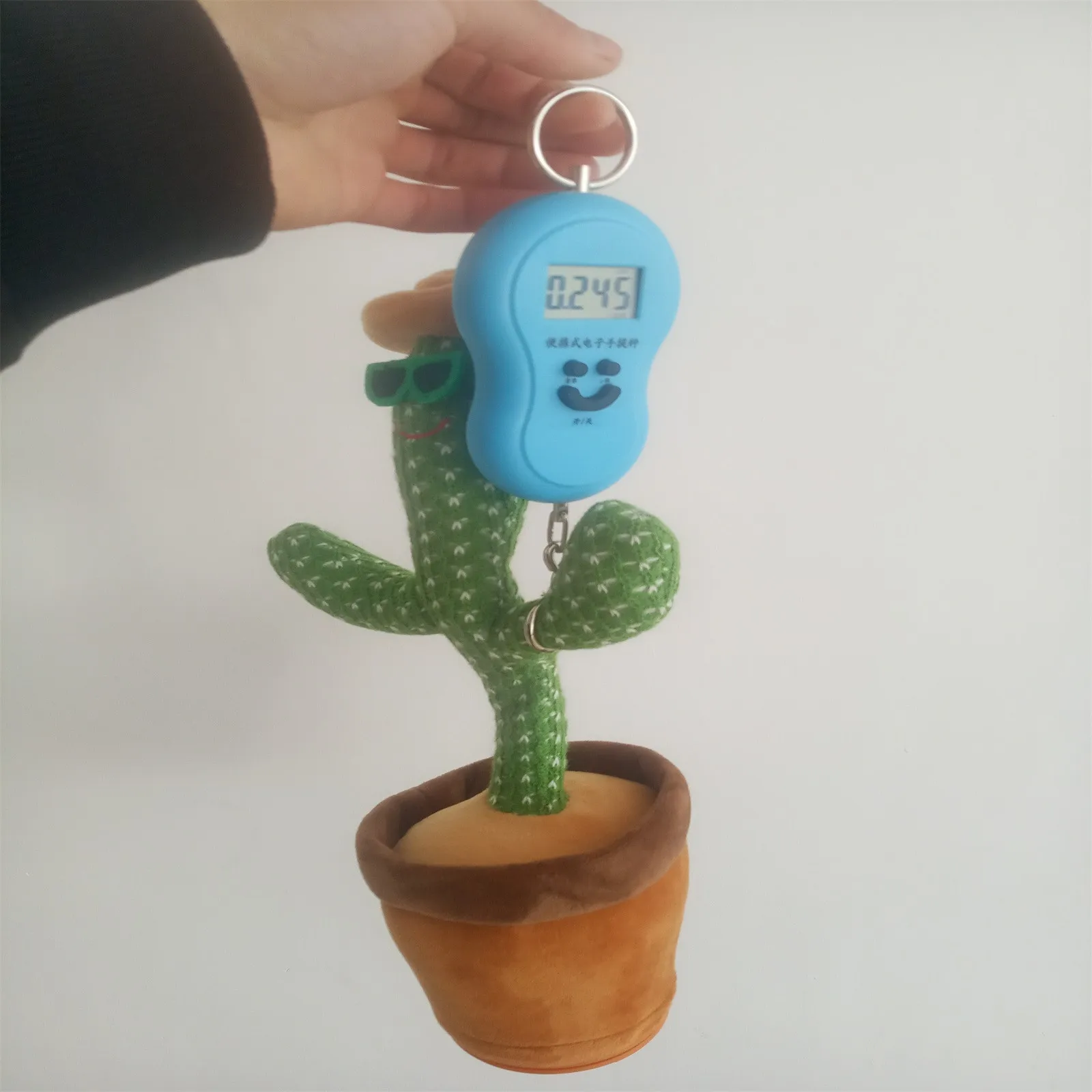 cactus toy music