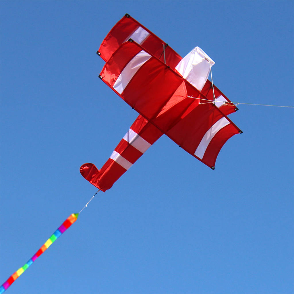 Single-Line Airplane Kites Long Tail Easy to Fly with 100Meters Line Outdoor Sport Toys Park Plane Kite for Kids Adults