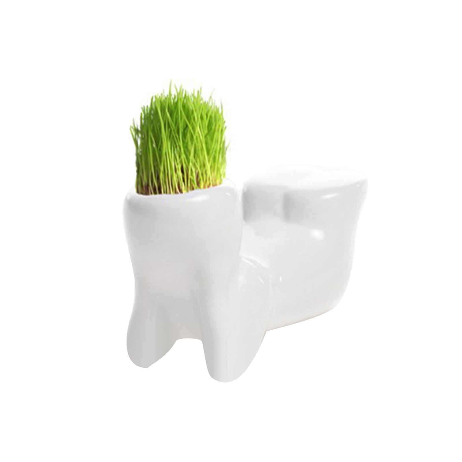 Description Picture 5 of itemNovel Cute Bonsai Head Grass Doll Hair White Lazy Man Rely Plant Garden Diy Mini Tree Dollgrass Pot Ceramic Plant Garden #T1P