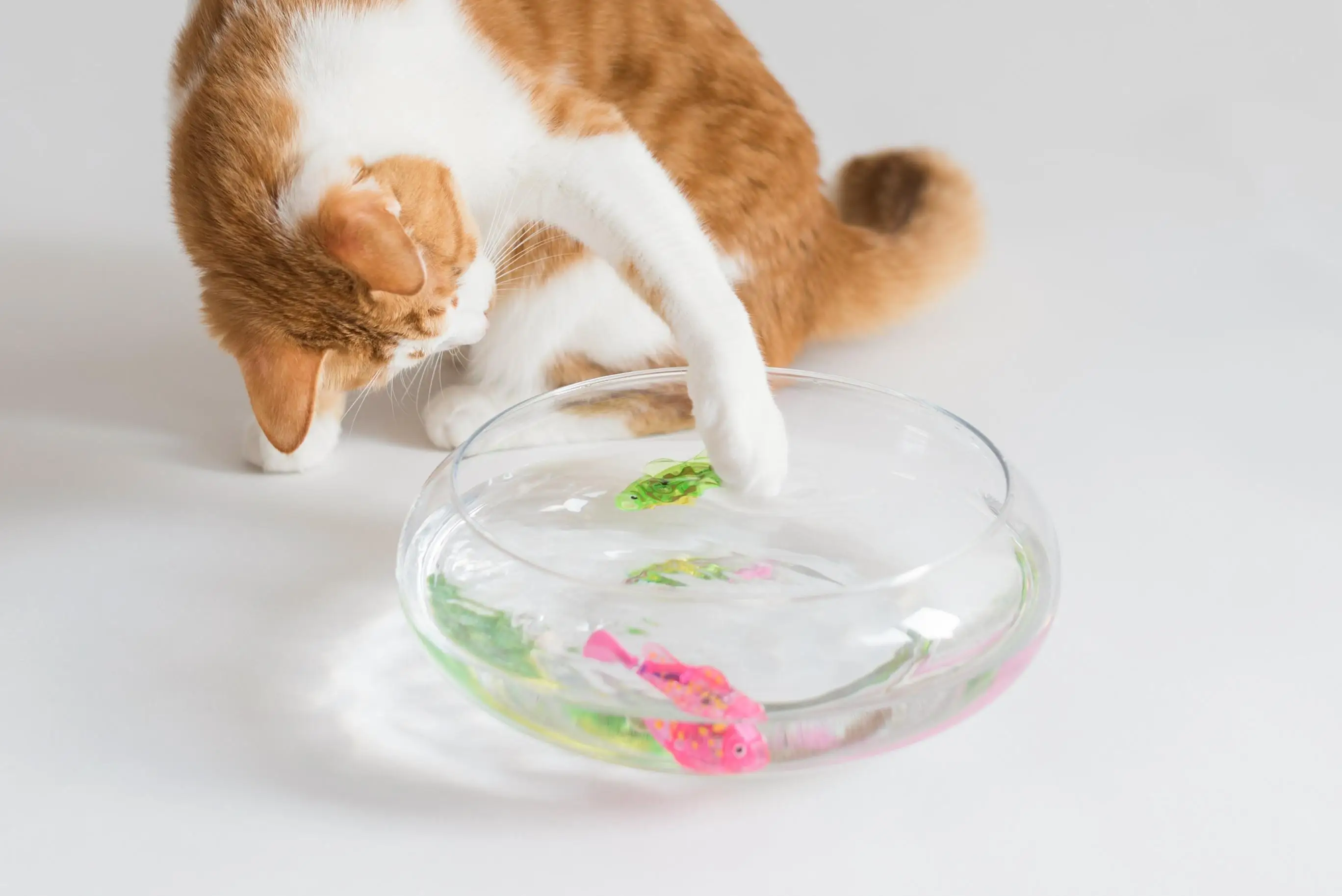 4PCS Cat Interactive Electric Fish Toy Water Cat Toy for Indoor Play Swimming Fish Toy for Cat and Dog with LED Light  Pet Toys