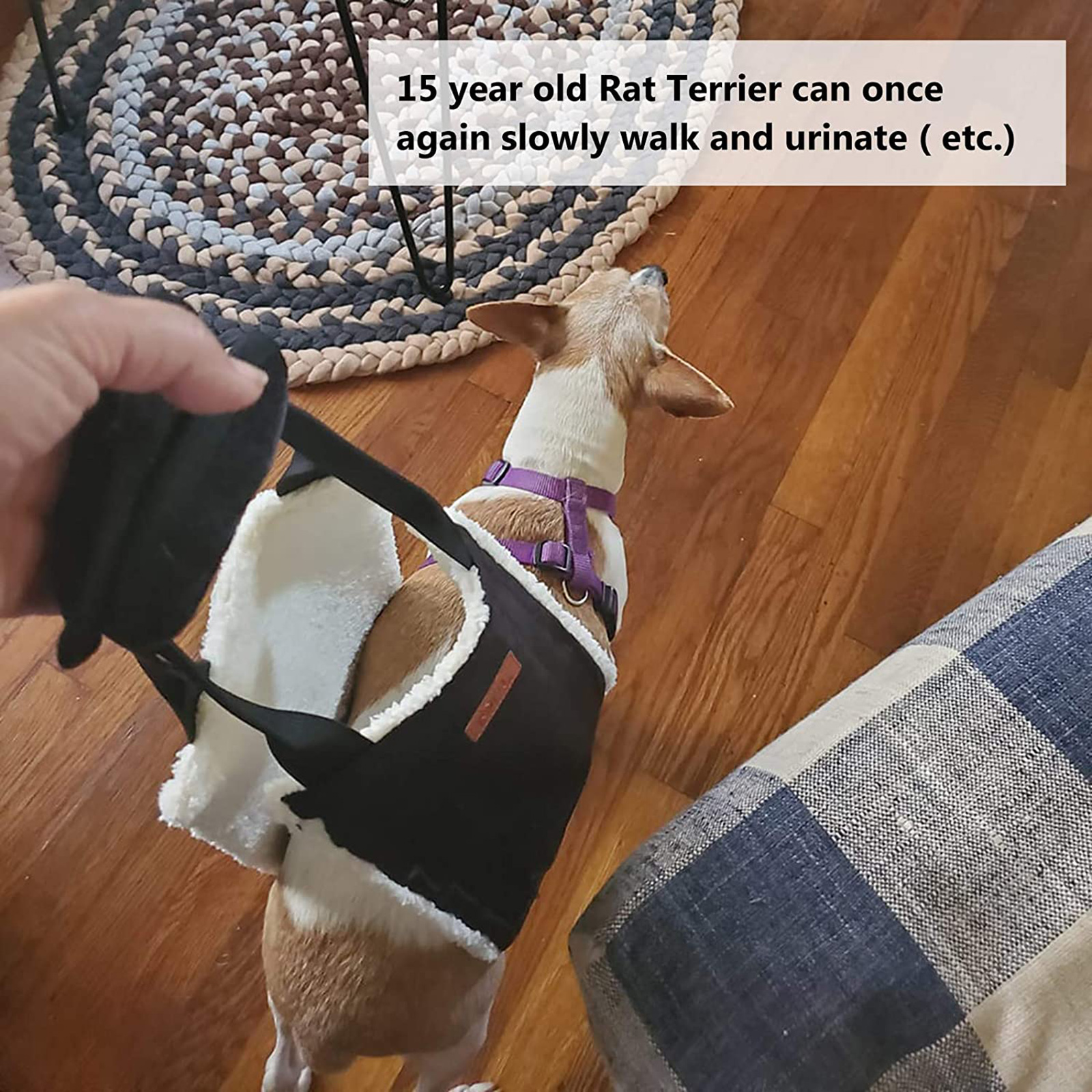 Portable Dog Lift Sling for Rear Legs, Hip Support Harness Assist Lifting for Canine Aid - Pet Lifter for Elderly Dogs