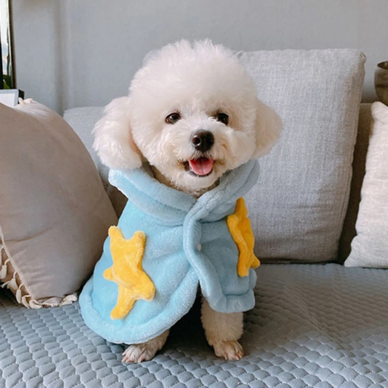 Un pequeño perro blanco que viste una prenda azul con dibujos de estrellas amarillas. El perro parece ser un Bichon Frise, una raza conocida por su pelaje rizado y esponjoso.