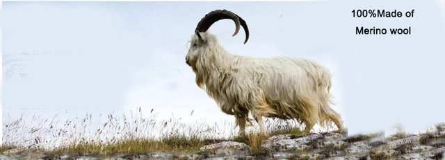 Sheep Pashmina Shawls Are Made From Which Animal Pashmina Shawl Is