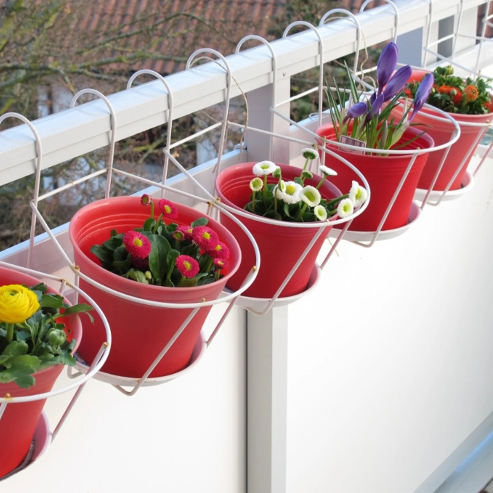 Тюльпаны В Горшке На Балконе