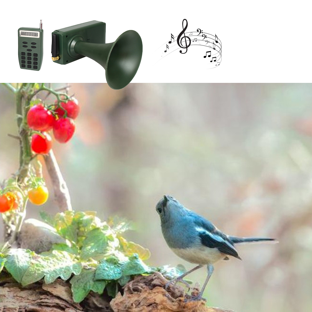 Hunting Decoy Bird Caller Bird Sound Loudspeaker Amplifier Outdoor Device Bird Sound Loudspeaker Amplifier Machine