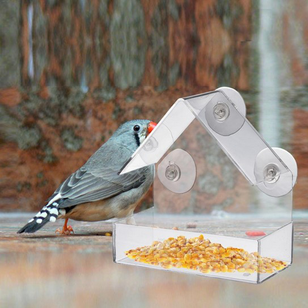 Clear Acrylic Window Bird Feeder Suction Cup Fit to Glass #2
