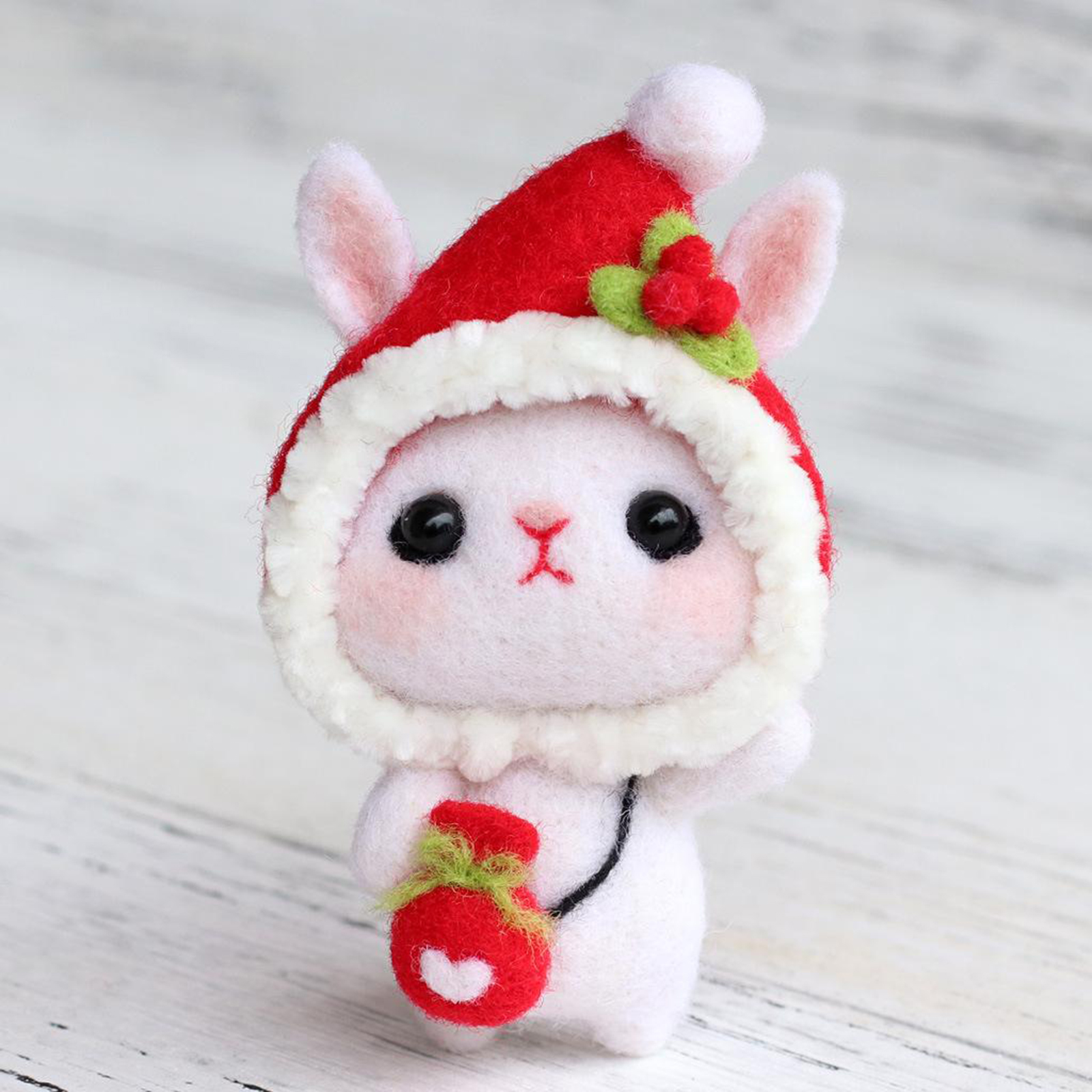 Needle Felting Kit for Beginners Kids Adults, Needle Felting Starter Kit with Instructions, Wool Felting Supplies for Christmas