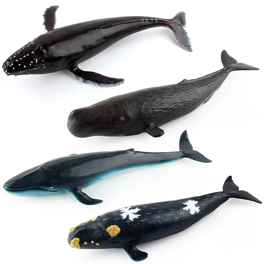 Realistic Ocean Marine Right Whale Animal Model Soft Plastic Figure Toy 