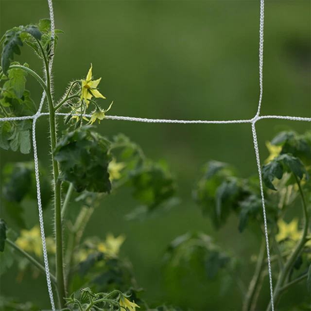Trellis Net for Plant Heavy-duty Polyester Plant Support Vine Climbing  Hydroponics Garden Twine B88