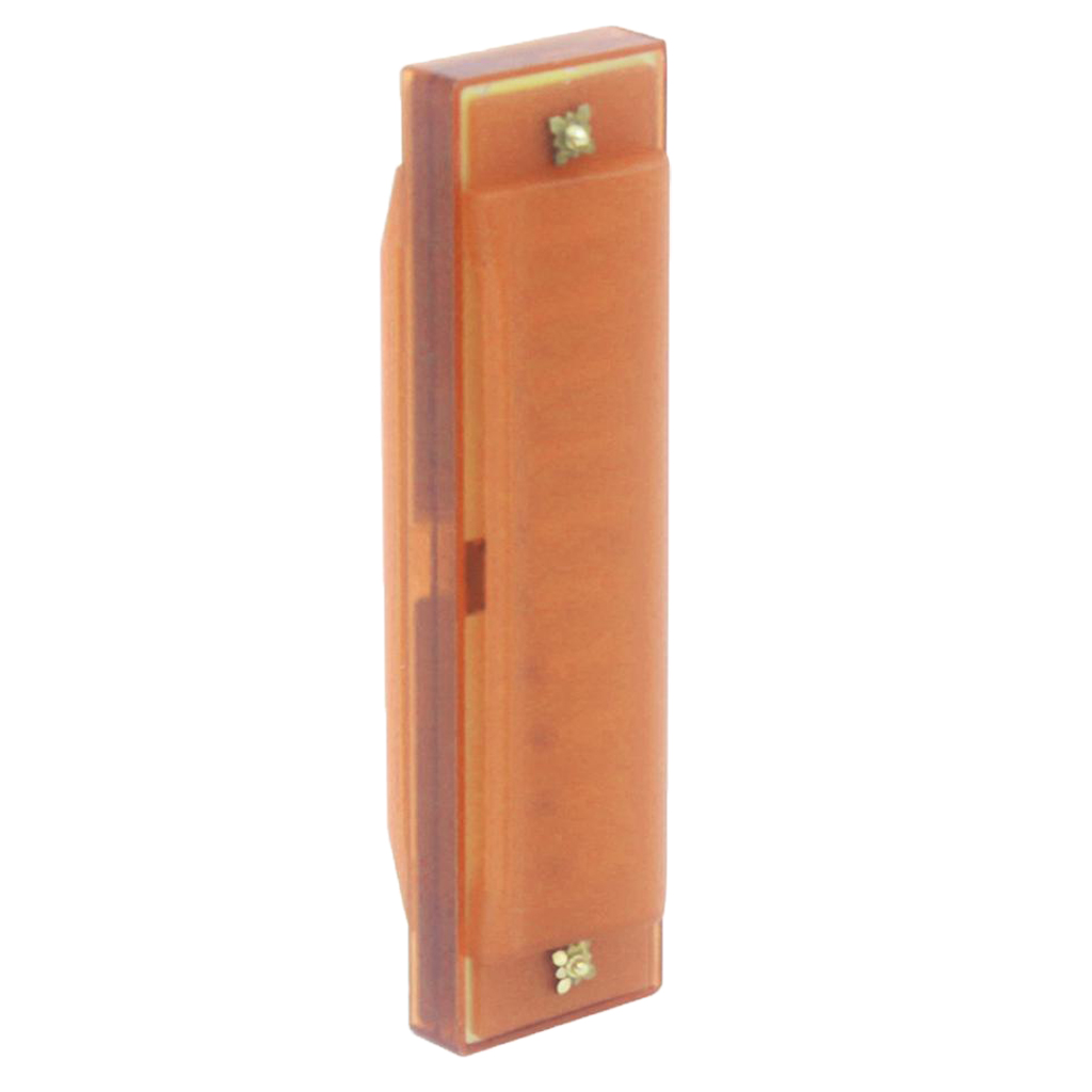 10 Holes 20 Tunes Harmonica , Key of C for Beginner, Students, Kids Gift, Professional with case