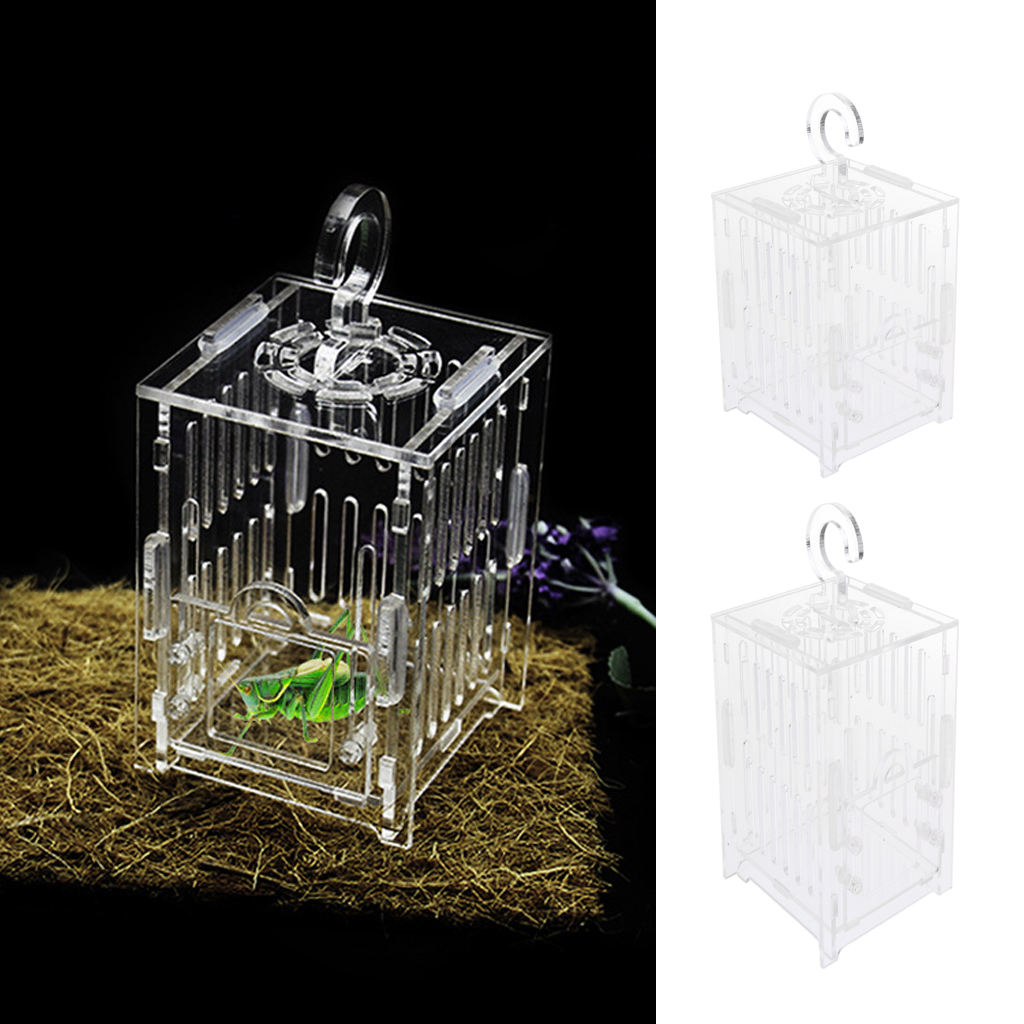 Durable Acrylic Small Insect Cage Grasshopper Feeding Cricket Cage Indoor Toy