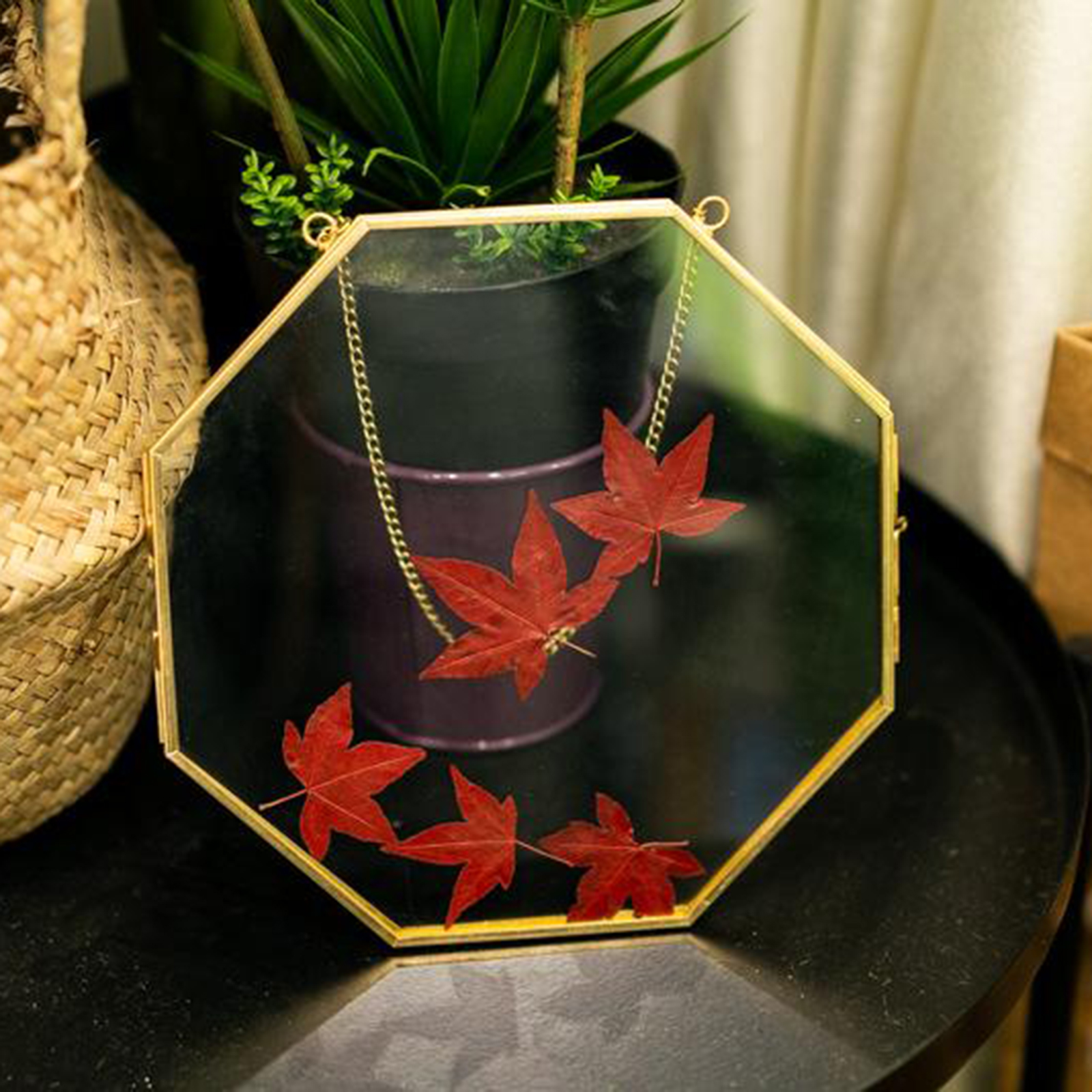 Brass Hanging Photo Frame for Display Plant Specimen Dried Flowers DIY