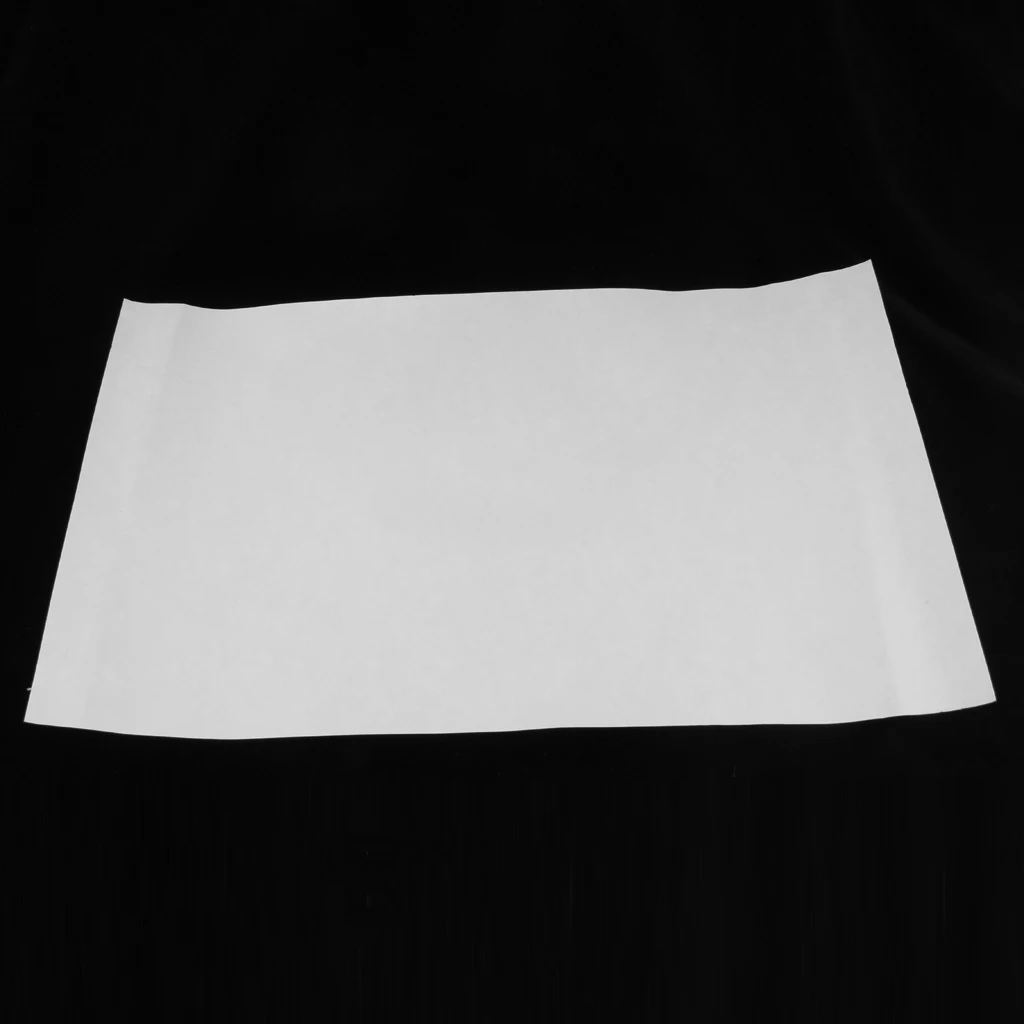 5 Pieces Absorbing Sheet Tissue Absorbent Blotting Filter Paper for Specimen