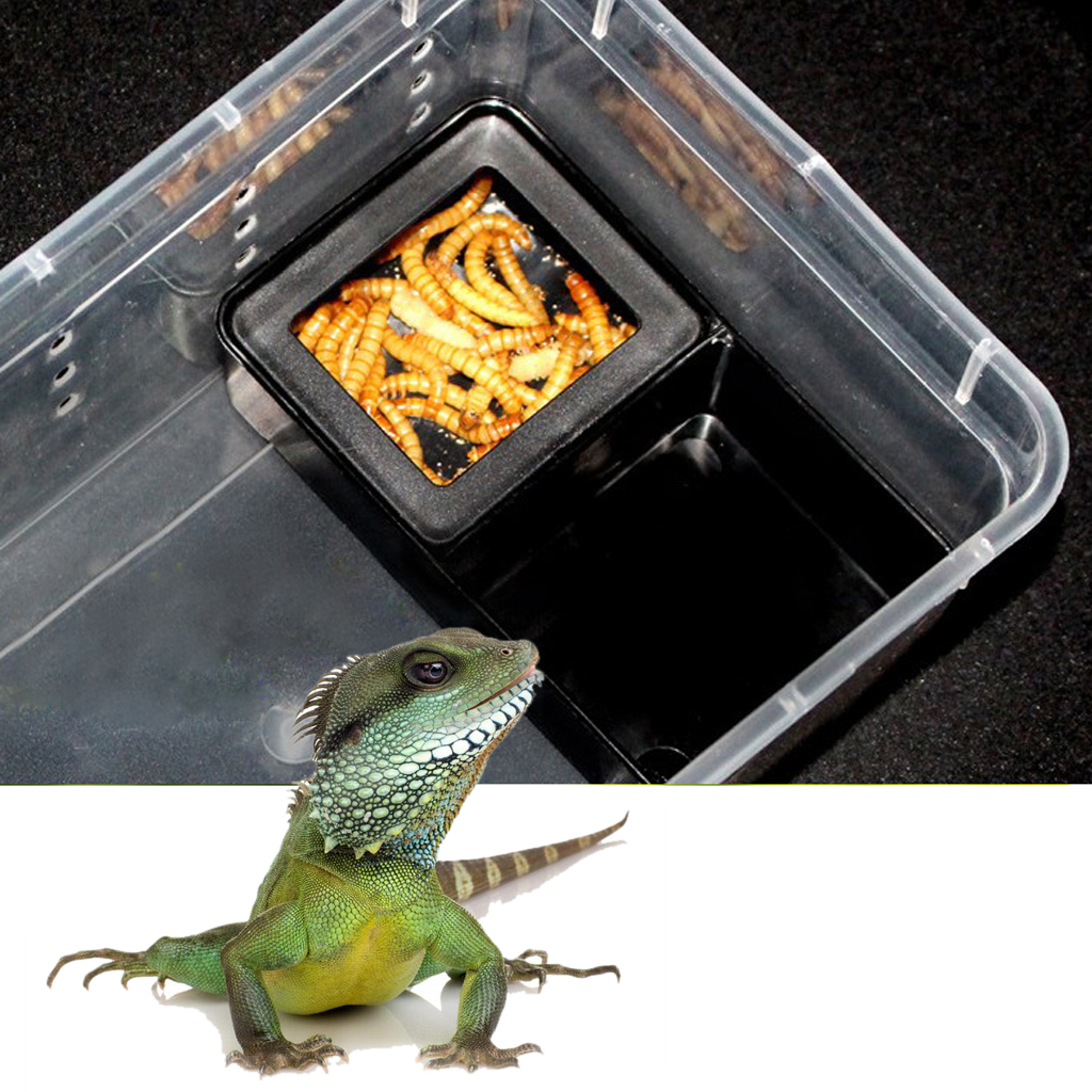 2 pcs Food Water Feeding Double Box Turtle Basin Reptile Feeder Box Insect Breeding Container