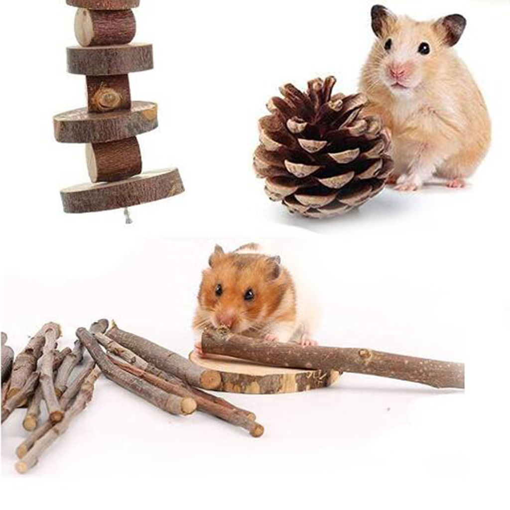 Natural Wood Chew Sticks for Small Pets Hamster Chinchillas Gerbils Rats