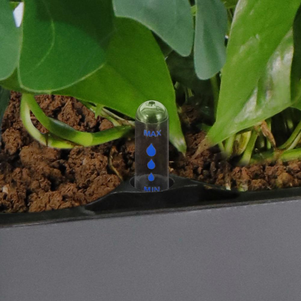 rega automática flor planta titular pátio decoração