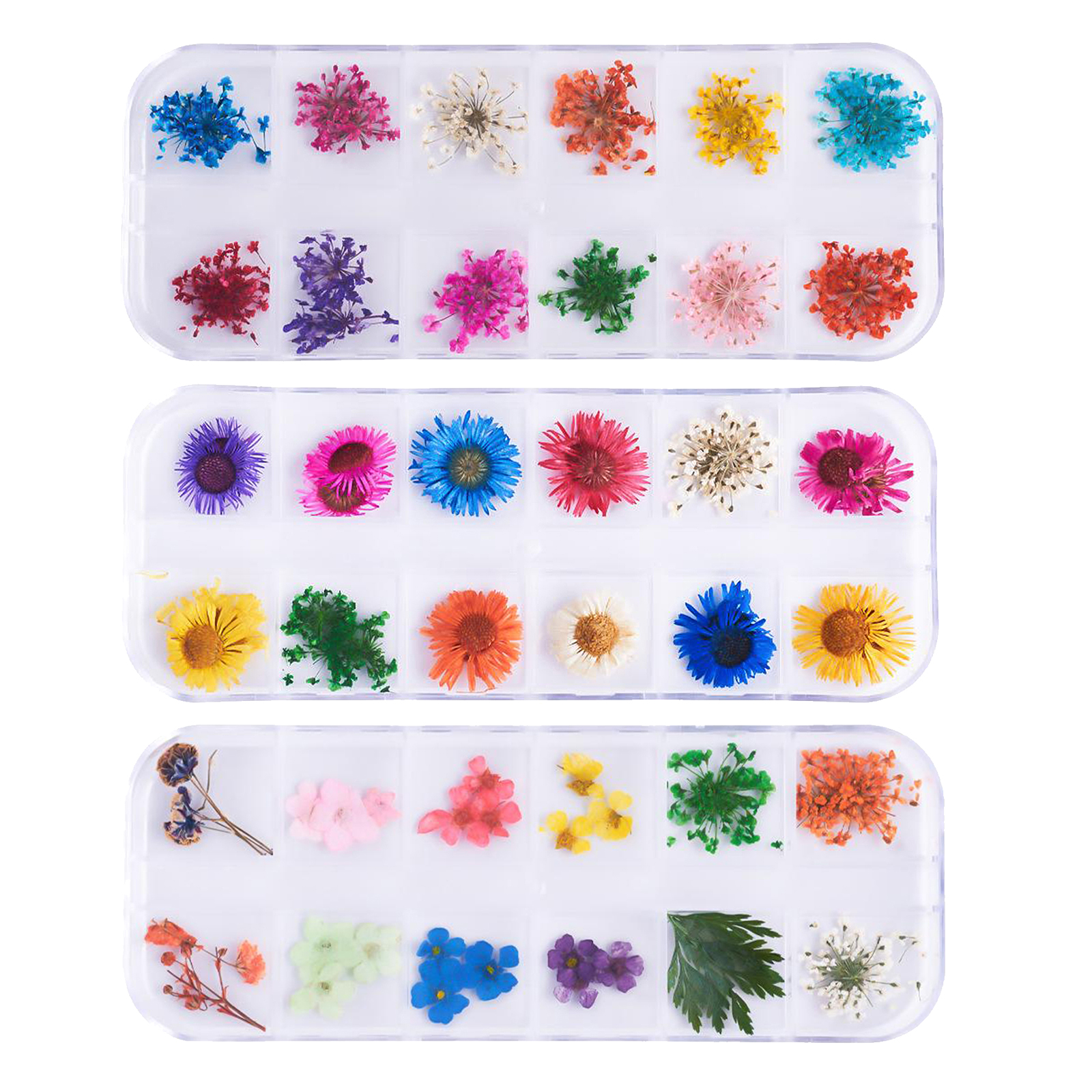 12 Color Real Dried Flowers 3D Nail Art Decor Design Manicure Accessories
