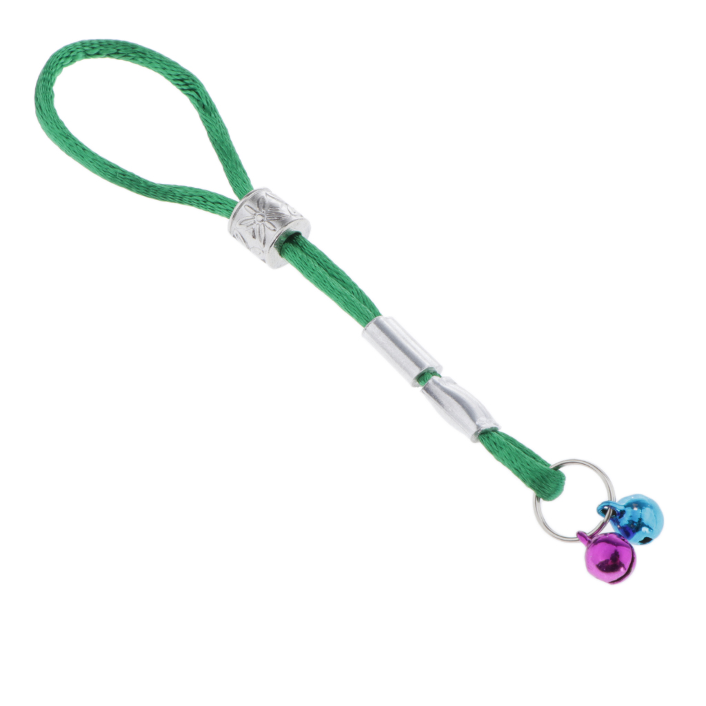 Adjustable Bird Harness Lead Leash with Bells Parrot Wing Traction Rope