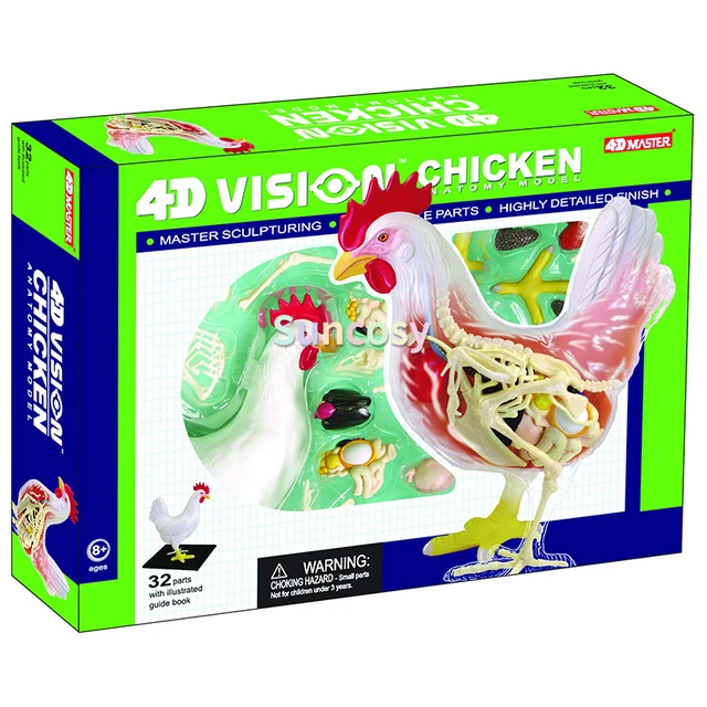 4d visionチキンの解剖学モデル,鶏の骨格,標本モデル,動物,自動教育 