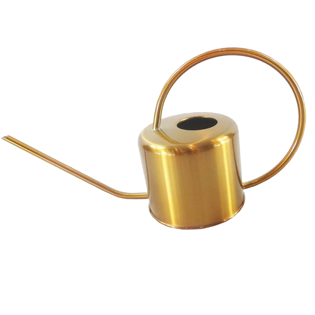 900ml Retro Style Watering Can for Plants Flowers Indoor Outdoor Home Garden Yard Watering Tools, Stainless Steel