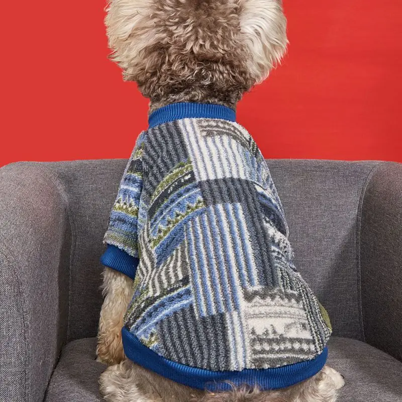 Un perro sentado en un sofá. El perro parece llevar un suéter colorido y acogedor con un patrón que incluye rayas y lo que parece un diseño geométrico. El fondo es una pared roja lisa, que contrasta con el pelaje del perro y los colores del suéter.