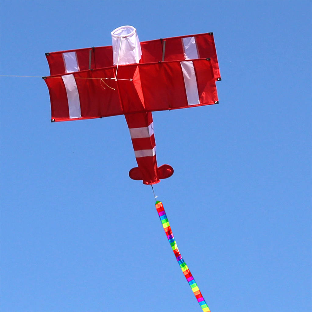 Single-Line Airplane Kites Long Tail Easy to Fly with 100Meters Line Outdoor Sport Toys Park Plane Kite for Kids Adults