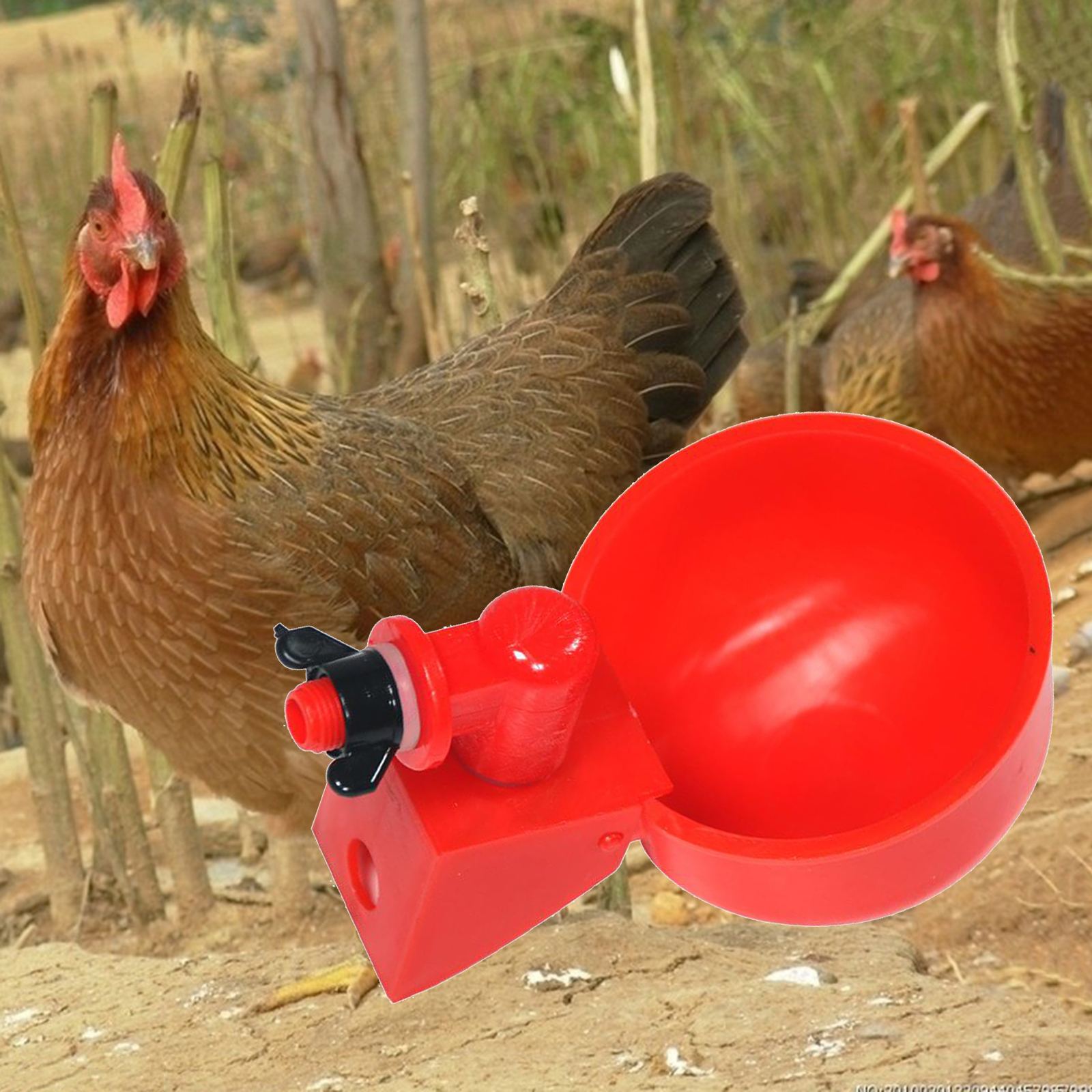 Poultry Watering Cups Bowl Plastic Waterer Duck Feeder Supplies Easy Install