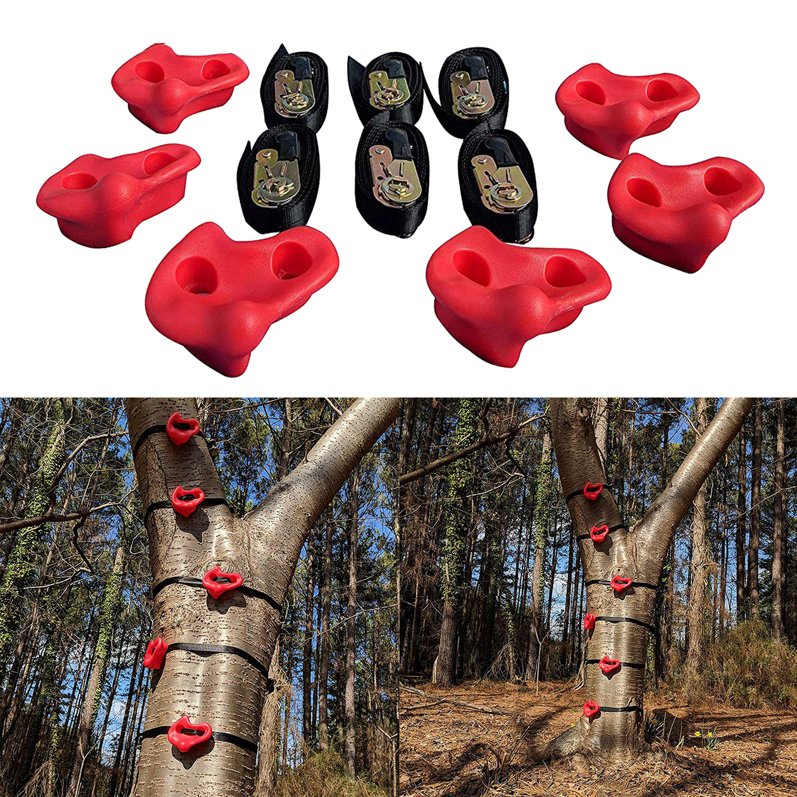Premium Tree Climbing Holds Steps Climbers Training Equipment Rock Climb Trainer for Home Yard