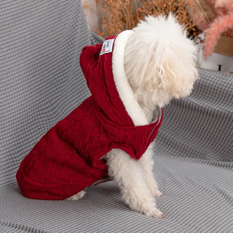 Un pequeño perro blanco que lleva un suéter de punto rojo con cuello blanco. El perro parece estar sentado sobre una superficie texturizada, posiblemente una manta o un mueble con textura tejida.