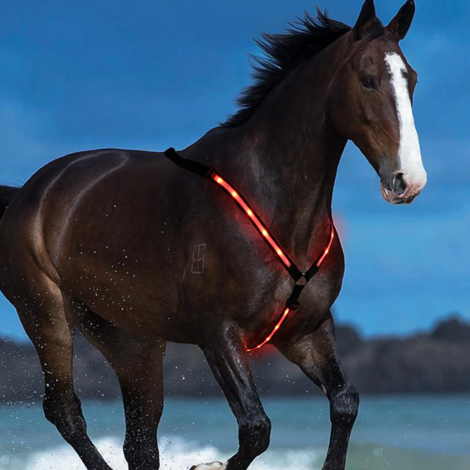 LED Horse Breastplate Collar Bridle Halter Neon Lights High Visibility Tack for Night Horse Riding Safety Equestrian Training