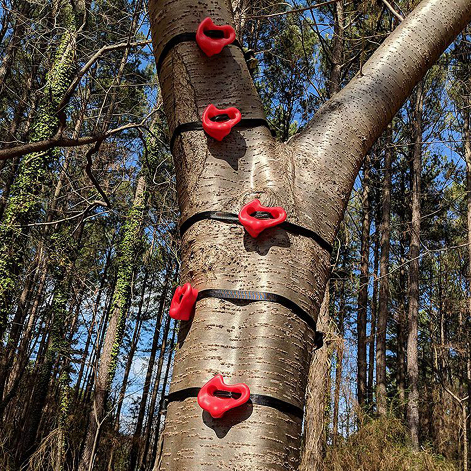 Premium Tree Climbing Holds Steps Climbers Training Equipment Rock Climb Trainer for Home Yard