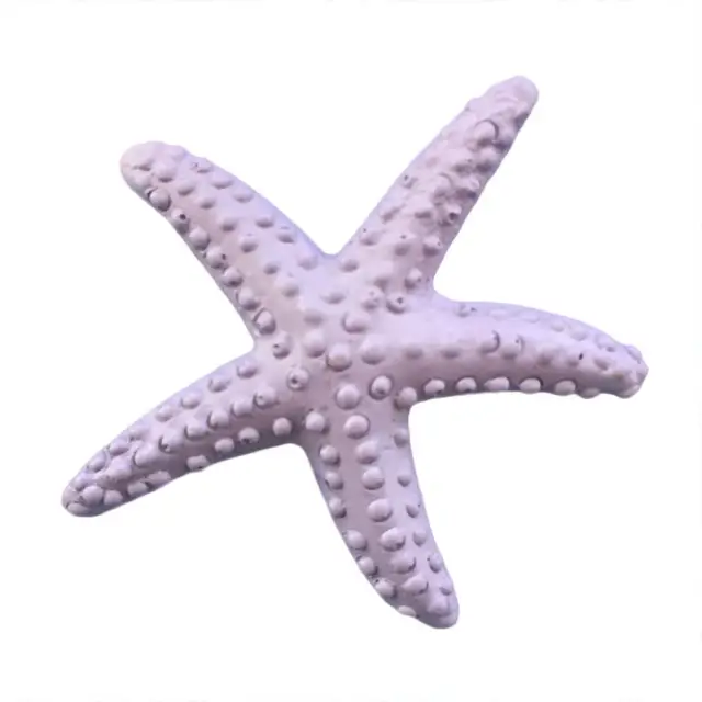 Starfish Sea Star Artificial Beach Ornament Ocean Wall Party Decor Cameras  for Photography Props Photo Background Accessories - AliExpress