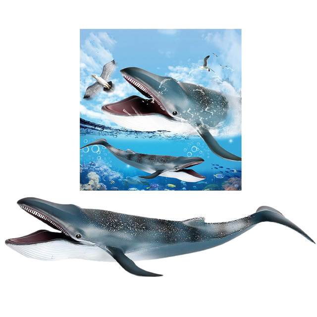 Simulation Blue Whale Animal Figure Collectible Toys Sea Animal Cognition Action Figures Kids Plastic Toys
