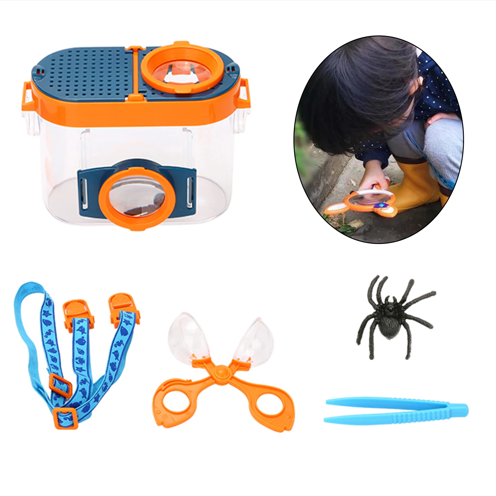 Insect Viewer Inspection Kit Bug Catcher Viewing Collection Kit Bug Toys