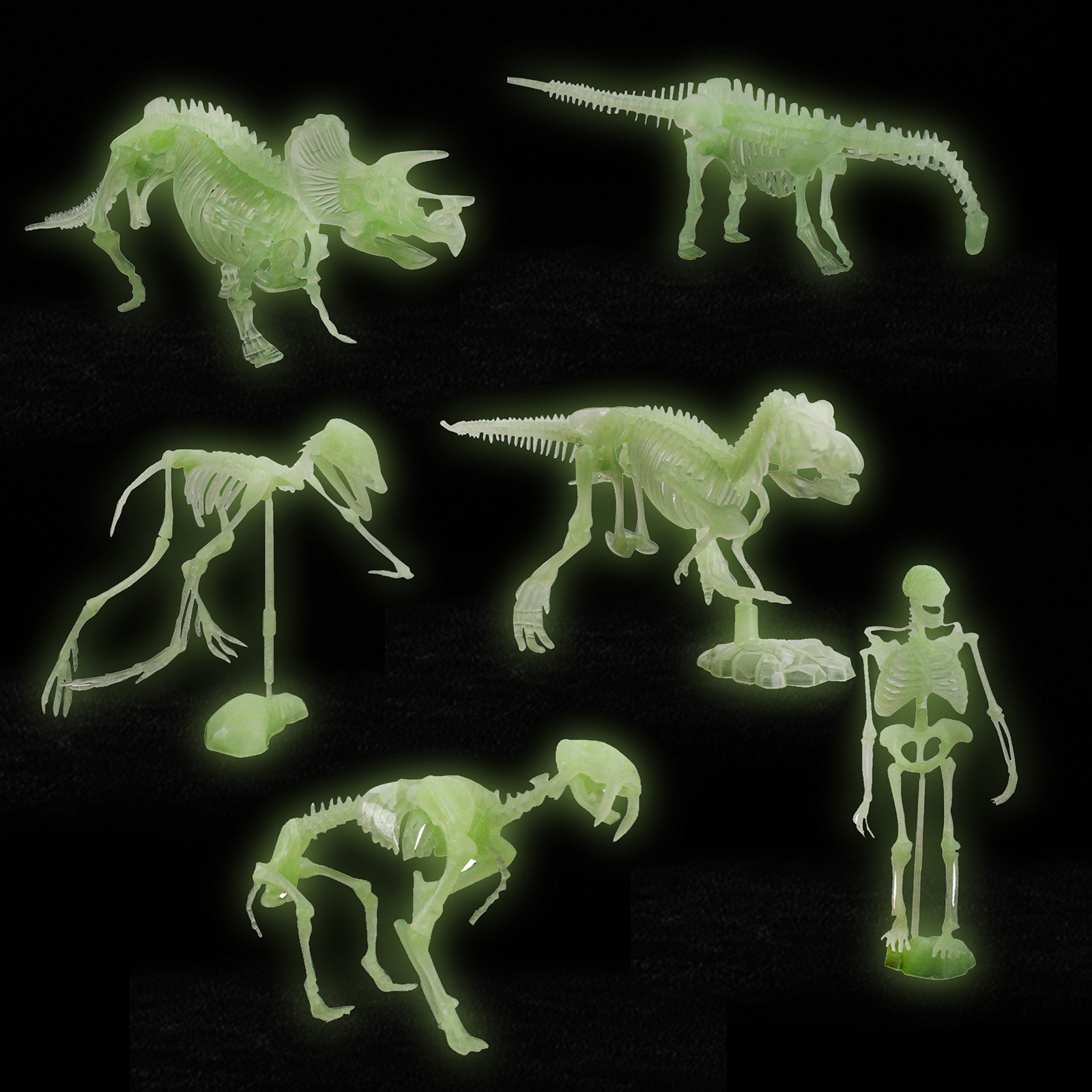 Fluorescentes de Dinossauro para Halloween Modelo de Esqueleto Ossos Humano Caveira Brinquedo Antiestresse Que Brilha no Escuro 6 Cheap Brinquedos que brilham no escuro