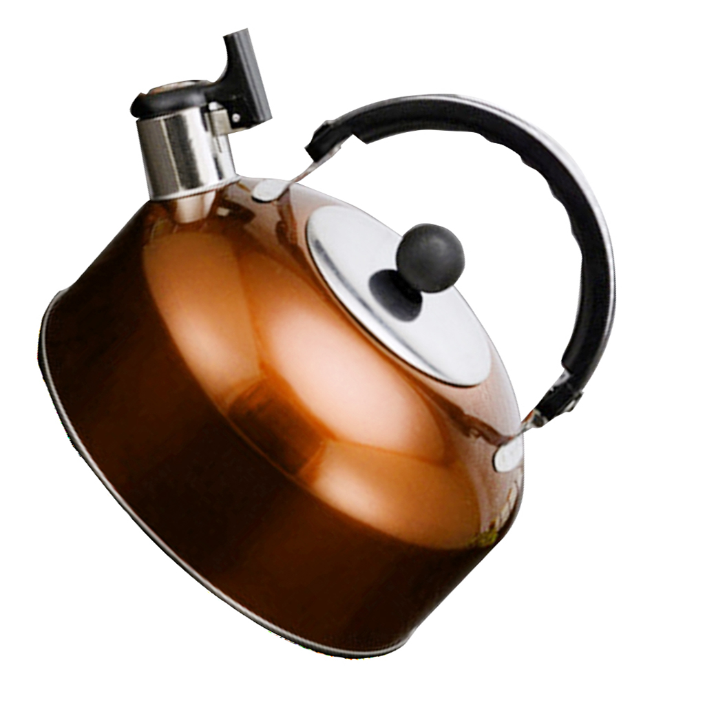 kingavon travel kettle