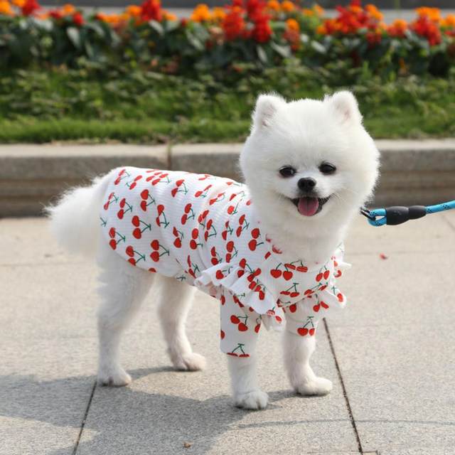 Fashionable Custom Pattern Dog Clothes Summer Pet NFL Shirt Dog Rugby Jersey  - China Pet Clothes and Dog Clothing price