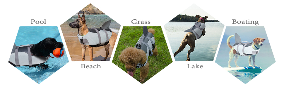 dog life jackets