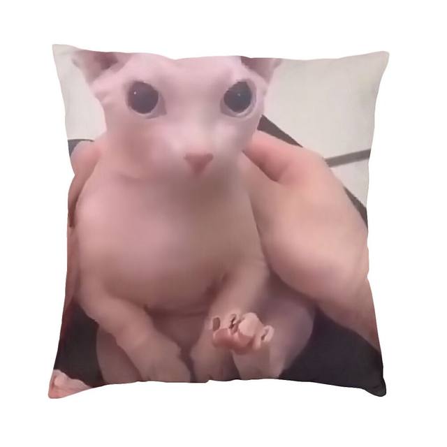 Floppa Capa de almofada fofa meme decoração de casa impressão 3D gato  engraçado na banheira capa de almofada para sala de estar frente e verso