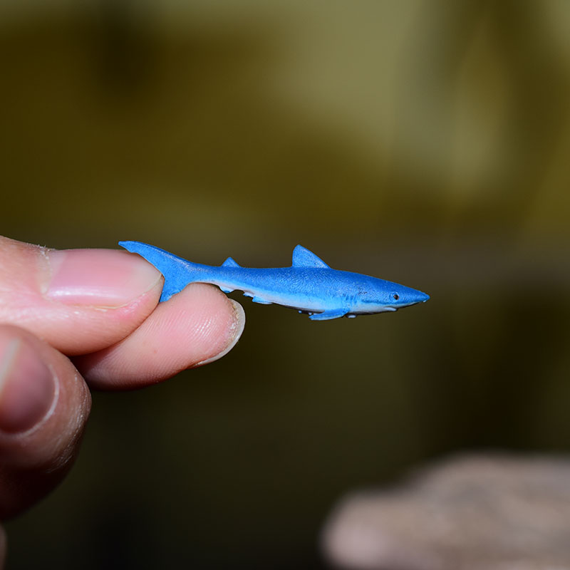 Miniature Oceans Animal Model Turtle Alligator Whale Shark Dolphin Penguin Clownfish Frog Sea World Mini Figurine Decor Toys