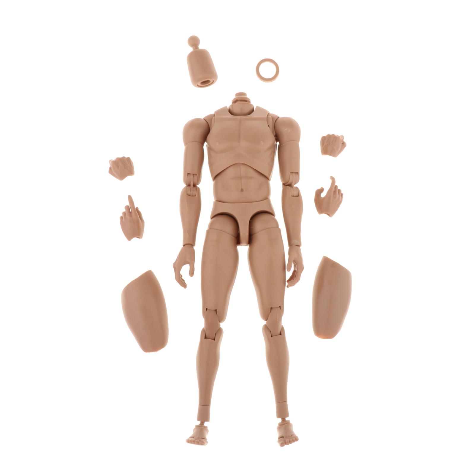 1/6 Scale Male Action Figure 12 Inch Jointed-Figure Muscle Body with Spare Neck