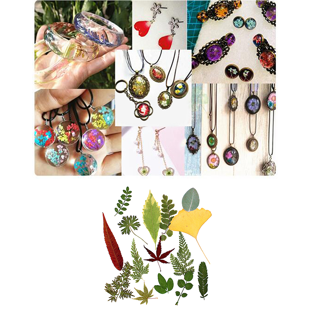 15Pcs Natural Pressed Dried Flower Fern Leaves for DIY Arts Crafts Scrapbooking 15x20cm Wedding home Decorations