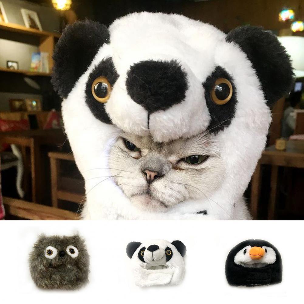 Halloween Outfit Pet Costume Cap Cute 